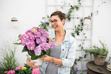 Lade das Bild in den Galerie-Viewer, Diva fiore® Rosa