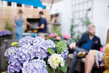 Lade das Bild in den Galerie-Viewer, Diva fiore® Blau